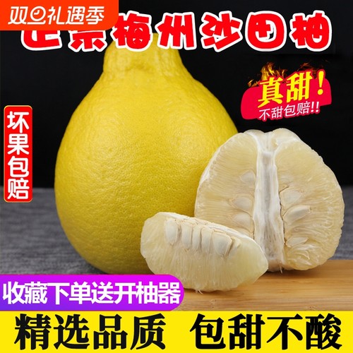 精选正宗梅州沙田柚包甜不酸