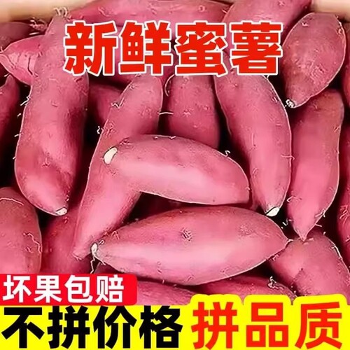 沙地蜜薯番薯地瓜红薯新鲜正宗板栗红黄心龙九现挖香甜农家软糯