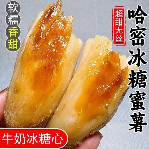 山东哈密冰糖薯红薯沙地新鲜现挖白心糖心蜜薯超甜番地瓜5斤山芋