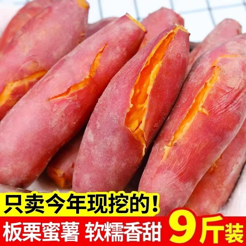 新鲜蜜薯板栗红薯沙地糖心黄心地瓜农家自种番薯现挖黄心香薯山芋