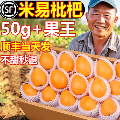 四川攀枝花米易枇杷新鲜水果早钟批把礼盒现摘现发当季整箱大五星
