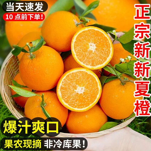 橙子夏橙脐橙湖北秭归新鲜10斤大果甜春橙手剥橙整箱当季水果现摘