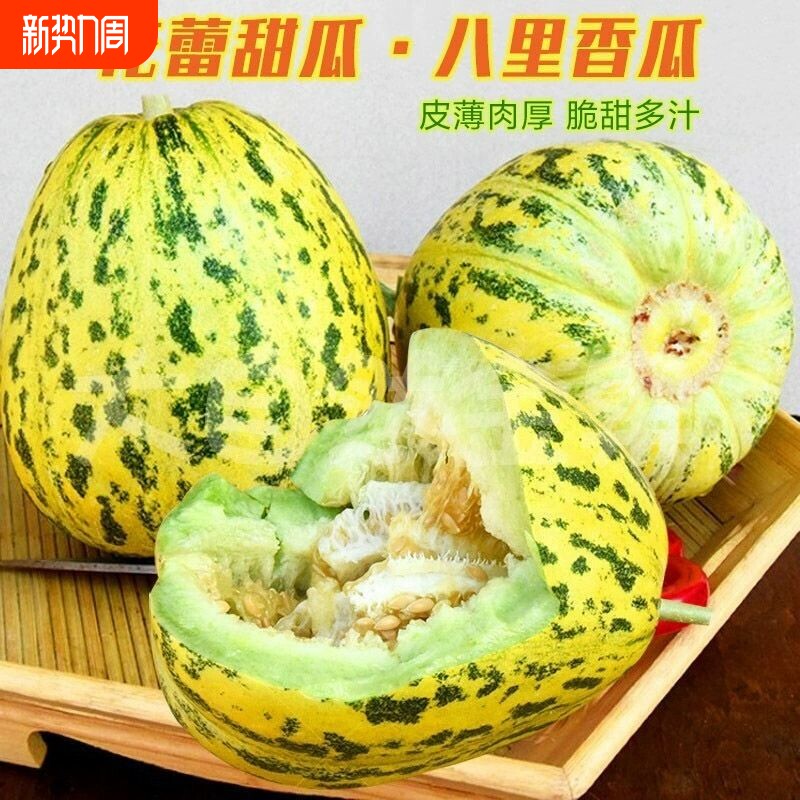 东北八里香甜瓜老品种香瓜脆甜多汁时令鲜果花蕾花美人甜瓜包邮