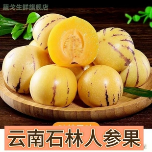 人参果云南石林鲜果精品新鲜水果七彩黄肉圆果特产当季现摘果子