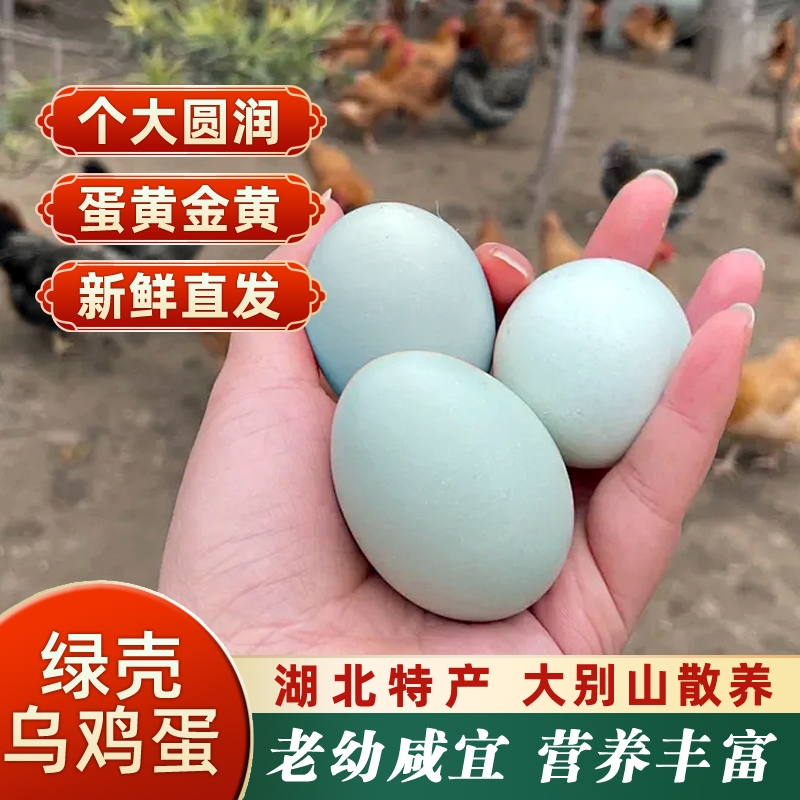 湖北大别山绿壳土鸡蛋生态散养