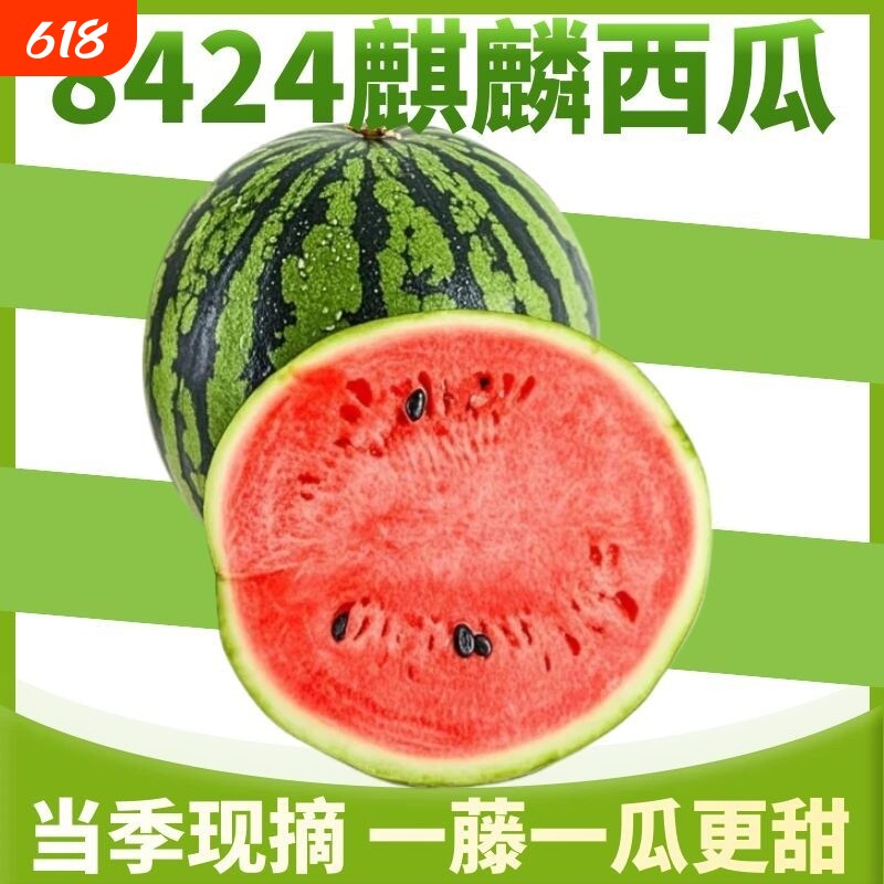 8424麒麟西瓜【产地直发】云南当季现摘时令孕妇水果超甜无籽有籽