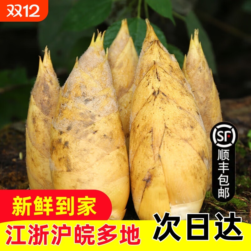 顺丰冷链新鲜冬笋浙江毛竹笋高山野生黄泥楠竹笋现发食用带壳天目