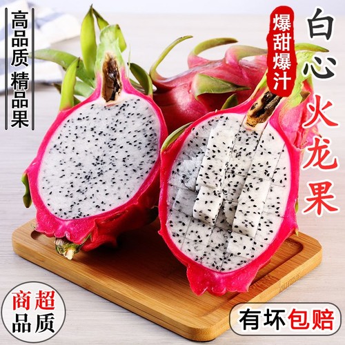 越南白心火龙果9斤|千人回购