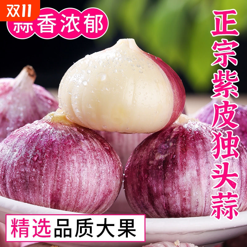 云南新鲜紫皮独头蒜|127人收藏