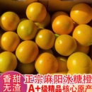 整箱柑年货节大果甜橙 水果橙子当季 正宗湖南麻阳冰糖橙10斤 包邮