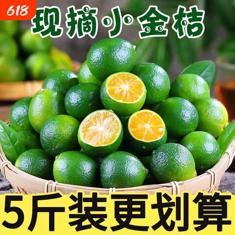 海南新鲜青小金桔柠檬果汁冷饮越南咖啡店配用包邮水果清香奶茶店