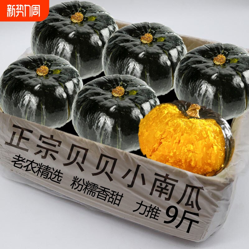 贝贝南瓜新鲜板栗味老南瓜正宗甜粉糯婴儿小南瓜9斤包邮水果蔬菜