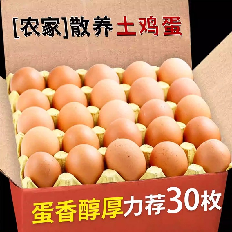 新鲜散养高山土鸡蛋农家土鸡现捡现发柴鸡蛋谷物蛋营养丰富土鸡蛋