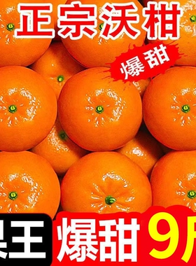 新鲜广西武鸣县沃柑当季水果香甜皮薄柑橘桔子品质5/9斤果子果园