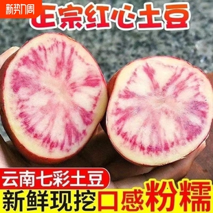 云南特产大理花心洋芋七彩土豆紫五花马铃薯红皮红心农家自种现挖