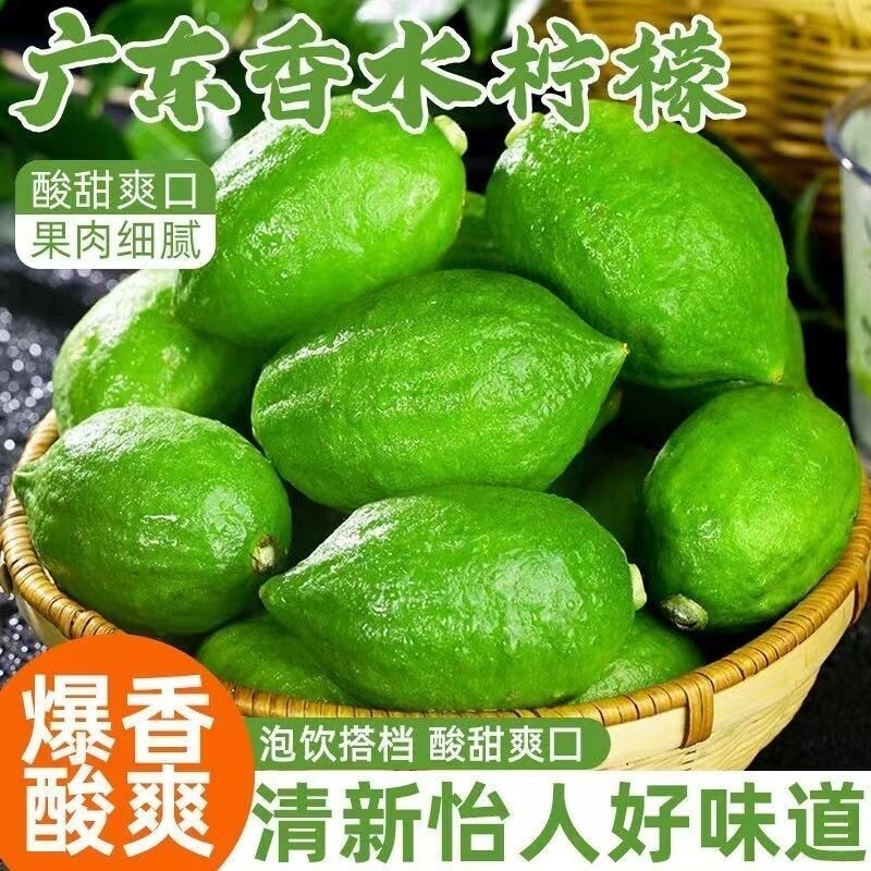 广东香水无籽青柠檬当季新鲜水果皮薄小青柠奶茶店专用鲜果香柠檬