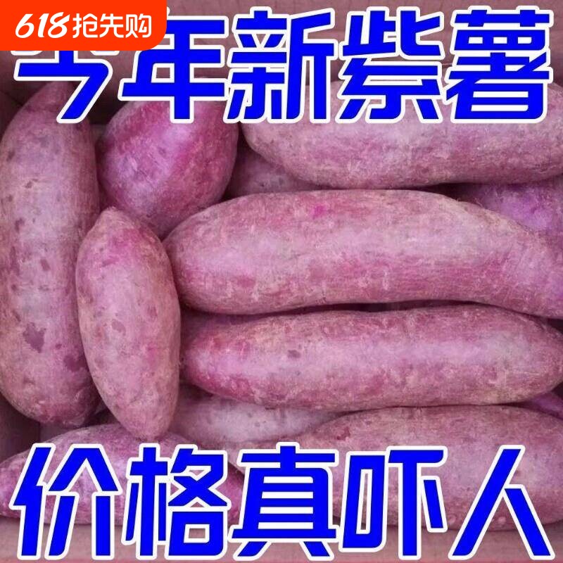 紫薯新鲜地瓜紫心蜜薯现挖沙地板栗番薯山芋农家自种蔬菜包邮食用