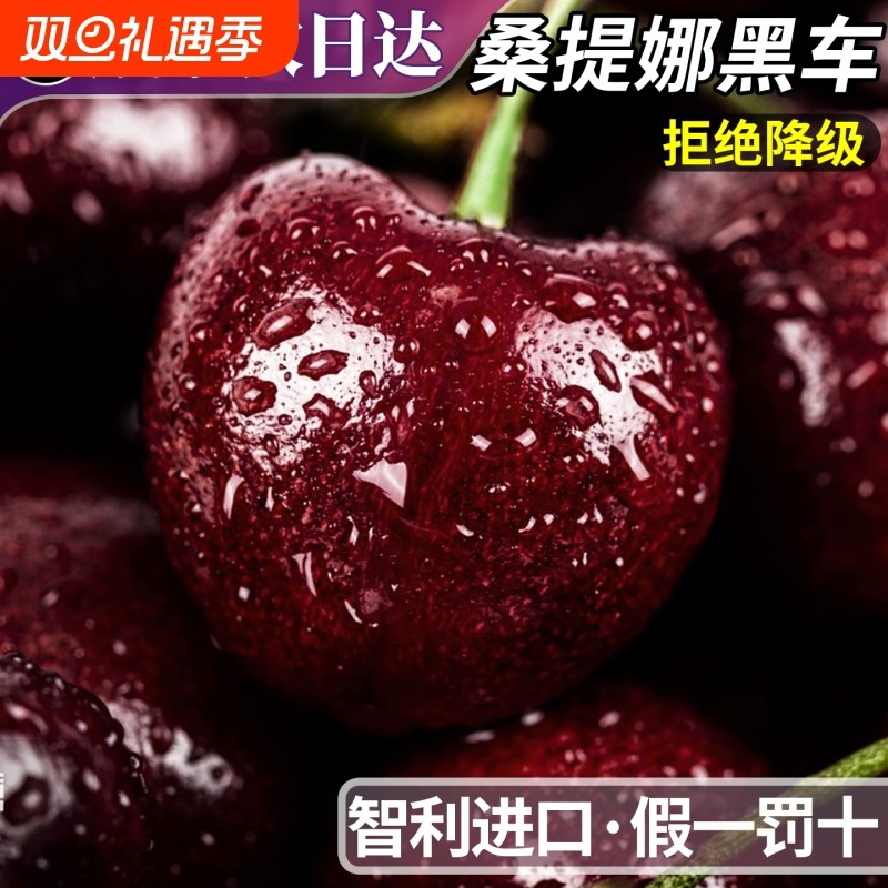 甄选铂金果丨桑提娜丨精美礼盒