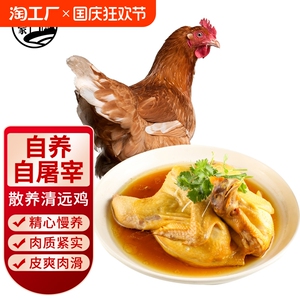 宛味宝清远鸡整只1200g正宗散养走地鸡白切鸡白斩鸡顺丰竹林品种