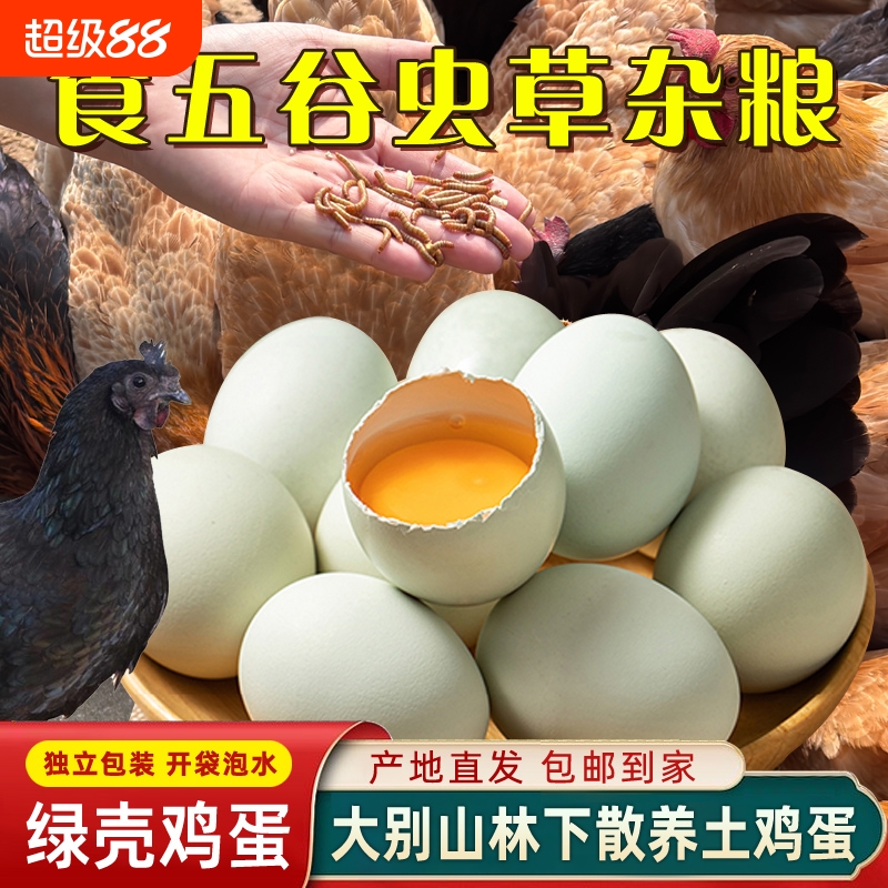 绿壳乌鸡蛋散养土鸡蛋50枚大别山谷物蛋孕妈月子营养新鲜精选现发
