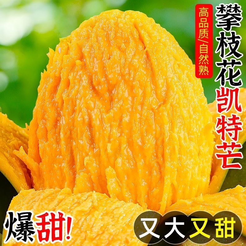 正宗攀枝花凯特大芒果
