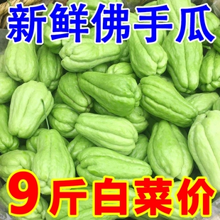 包邮 佛手瓜新鲜现摘高山葵瓜合手瓜合掌瓜丰收瓜洋瓜捧瓜当季 蔬菜