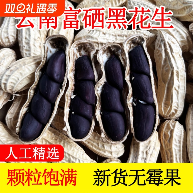 云南特产黑皮黑花生晒干带壳普洱小粒黑花生新货富硒黑花生