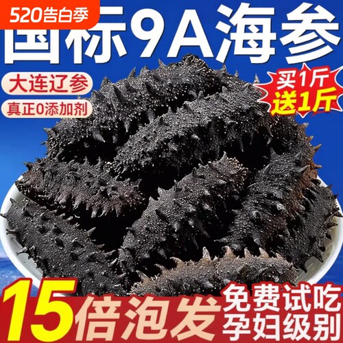 大连海参干货淡干辽参礼盒500g特价深海渗野生刺参正品官方旗舰店