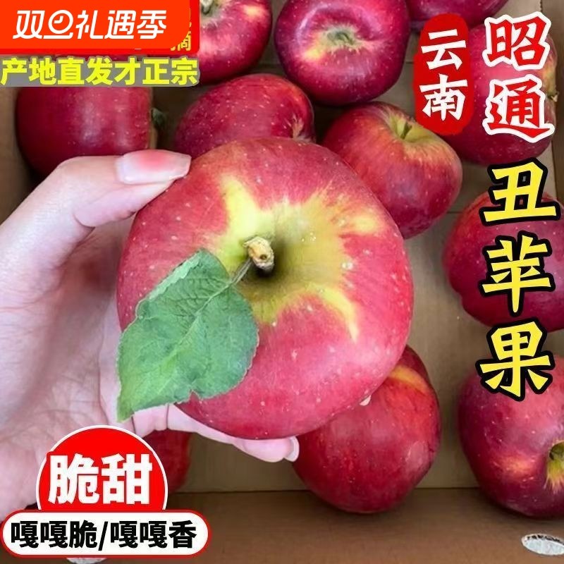 云南昭通丑苹果现摘新鲜冰糖心甜当季脆甜红富士水果整箱生鲜