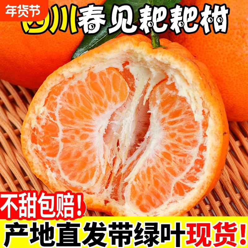 正宗四川春见耙耙柑爆甜粑粑柑新鲜孕妇水果当季整箱柑橘子蜜桔子,水产肉类/新鲜蔬果/熟食,桔子,淘宝优惠券,粉丝福利购,淘宝优惠卷