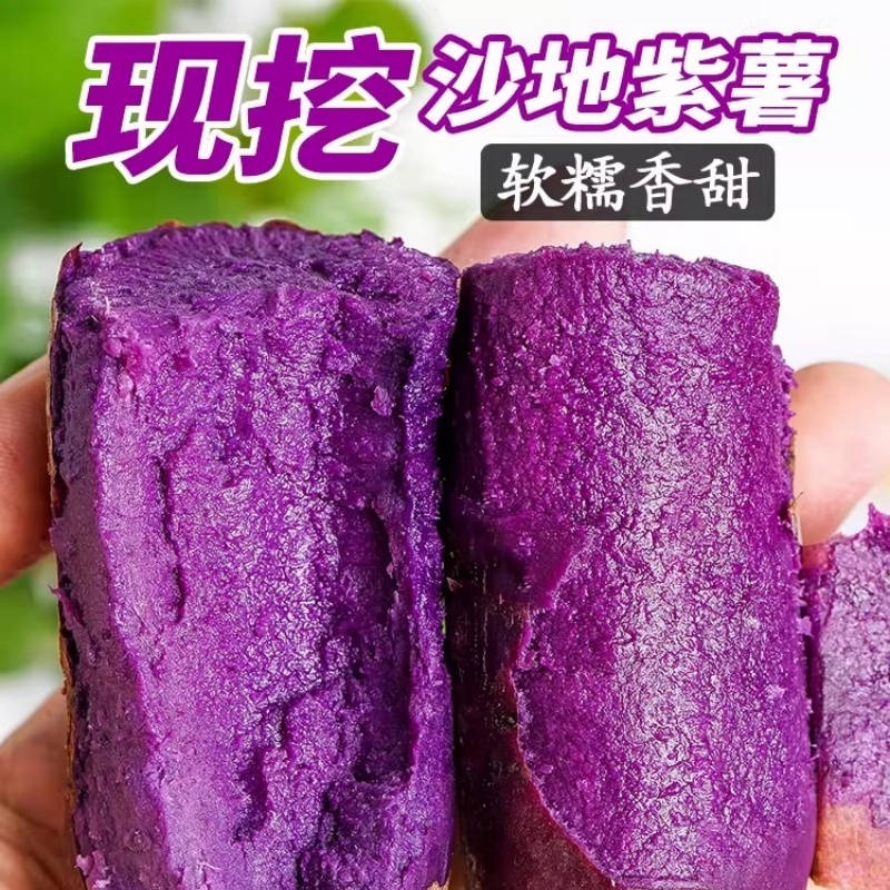 现挖沙地紫薯新鲜农家自种香薯5斤软糯香甜蜜薯小个地瓜蔬菜番薯