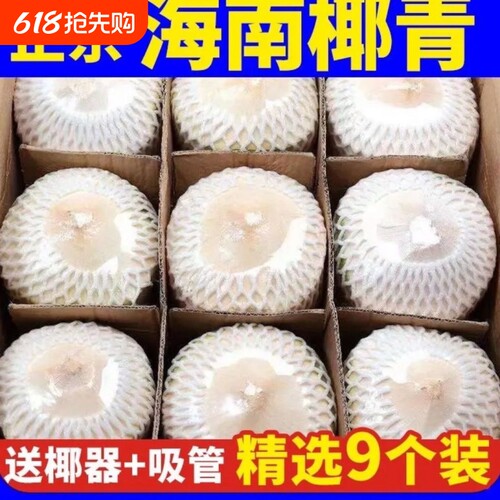 正宗海南椰子新鲜椰青2-9个装当季水果现摘去皮青椰子水整箱包邮