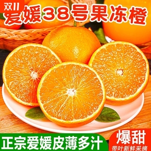 四川眉山38号爱媛果冻橙4.5斤