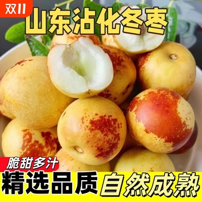 正宗山东沾化冬枣新鲜水果特级脆甜大枣脆甜大枣3斤5斤装整箱包邮