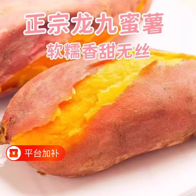 红薯新鲜河南开封农家老品种黄心现挖沙地龙九番薯蜜薯软糯香甜