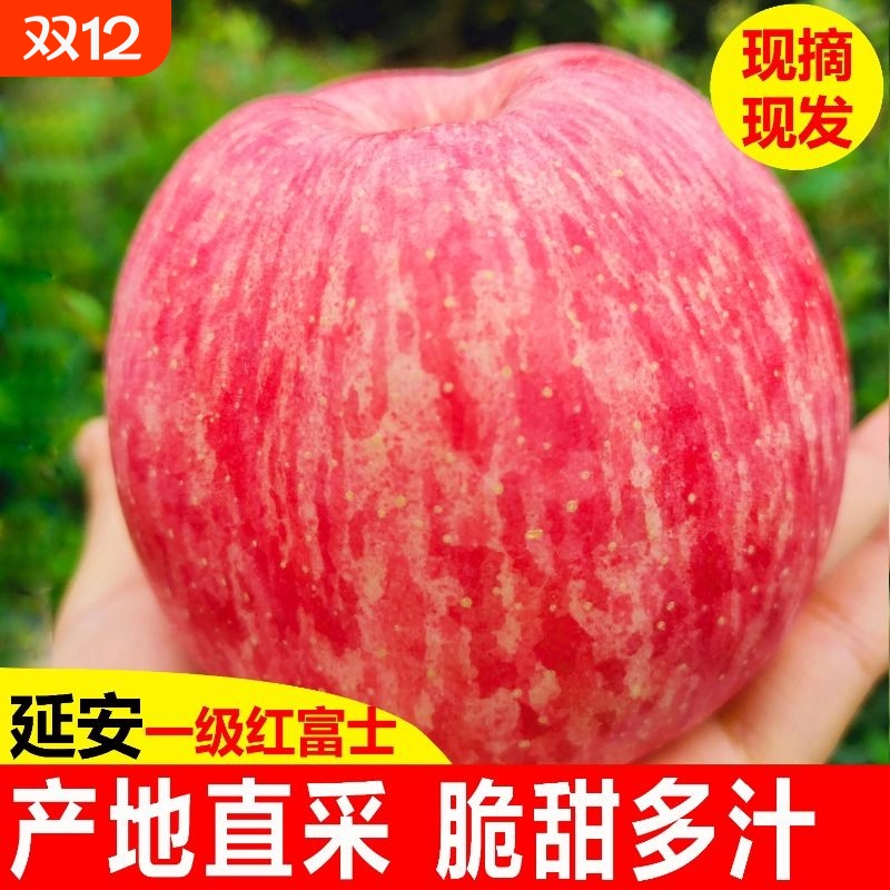 正宗陕西延安洛川苹果新鲜水果当季红富士非冰糖心整箱脆甜包邮
