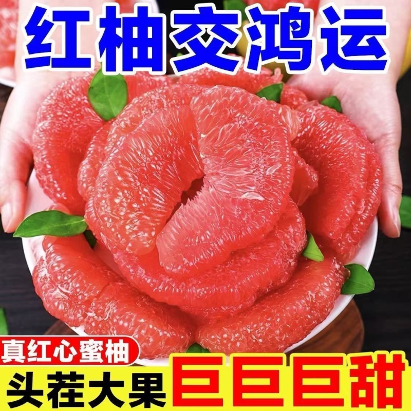 福建红心柚子新鲜水果当季整箱红肉蜜柚子薄皮大果批发现摘爆汁