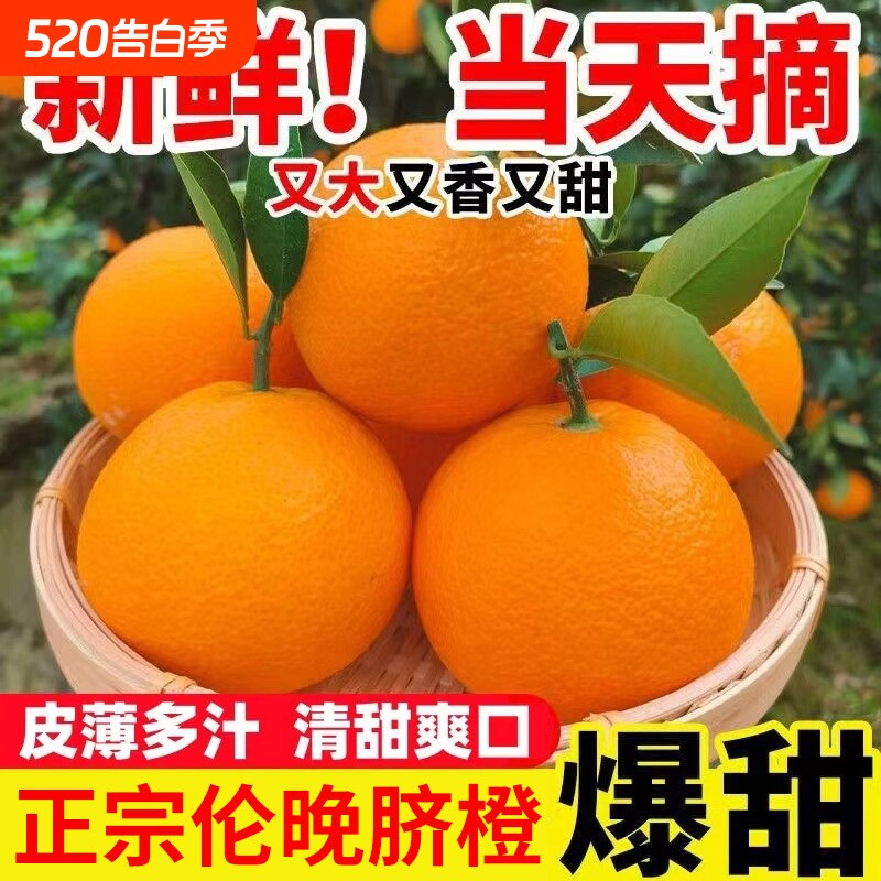 正宗秭归伦晚脐橙果园批发大果新鲜橙子手剥当季时令水果精品现摘