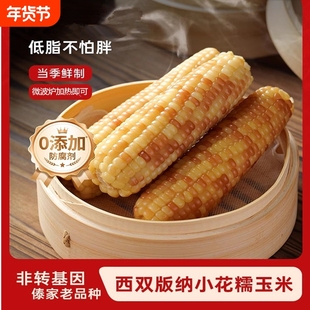 低脂代餐云南西双版纳小玉米新鲜香花糯玉米棒即食早餐5斤苞米棒