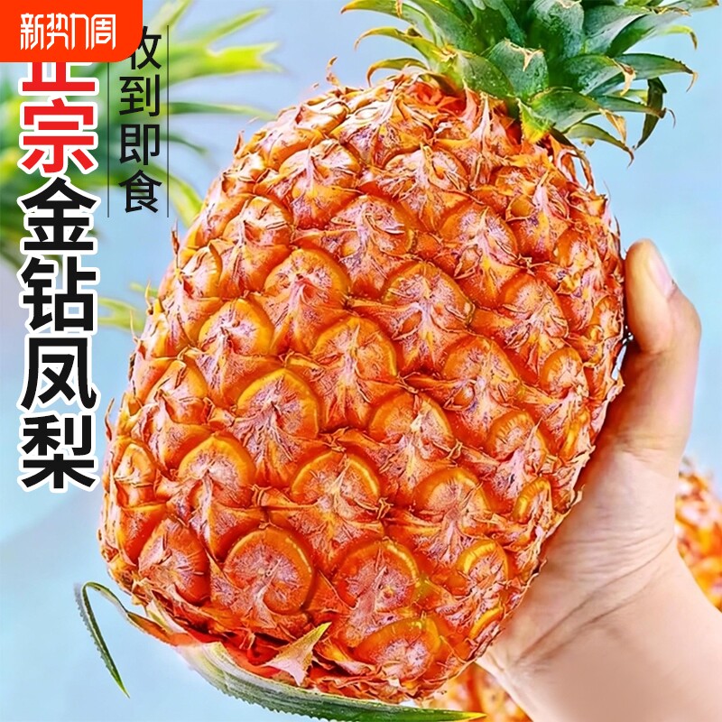 金钻凤梨新鲜正宗菠萝孕妇水果手撕风梨当季特产大果整箱包邮