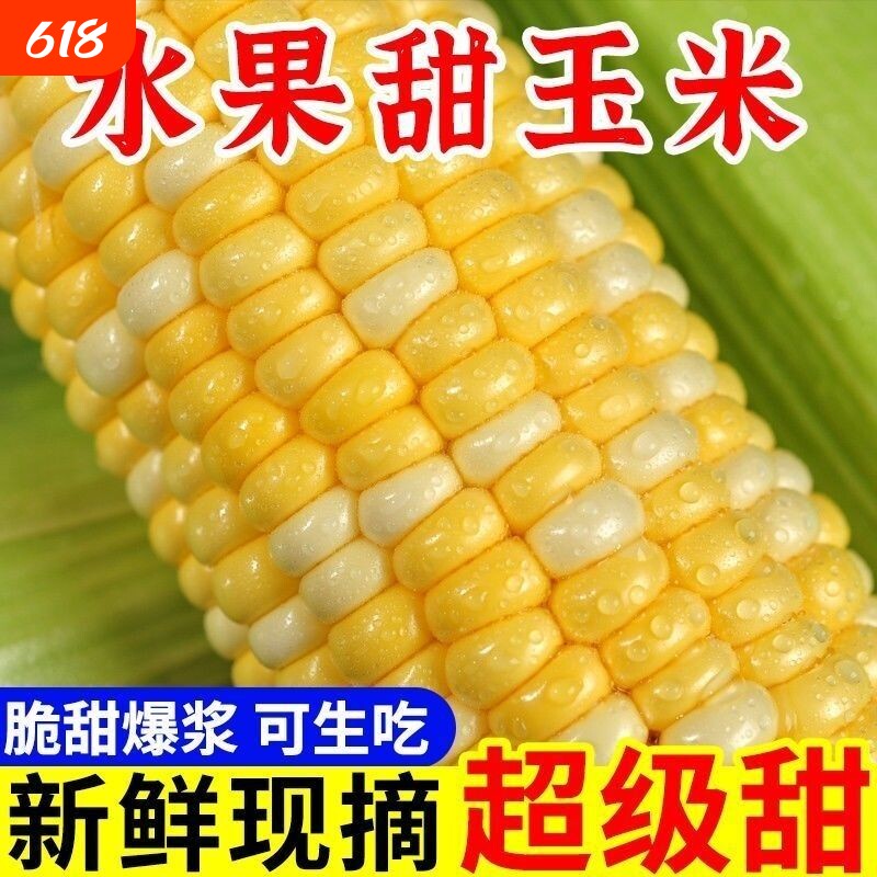 现摘现发云南德宏金银水果玉米双色新鲜甜玉米即食带壳生吃爆浆