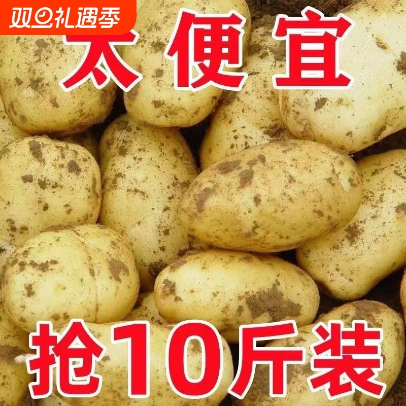 新货现挖黄皮土豆马铃薯正宗农家自种洋芋新鲜蔬菜整箱批发