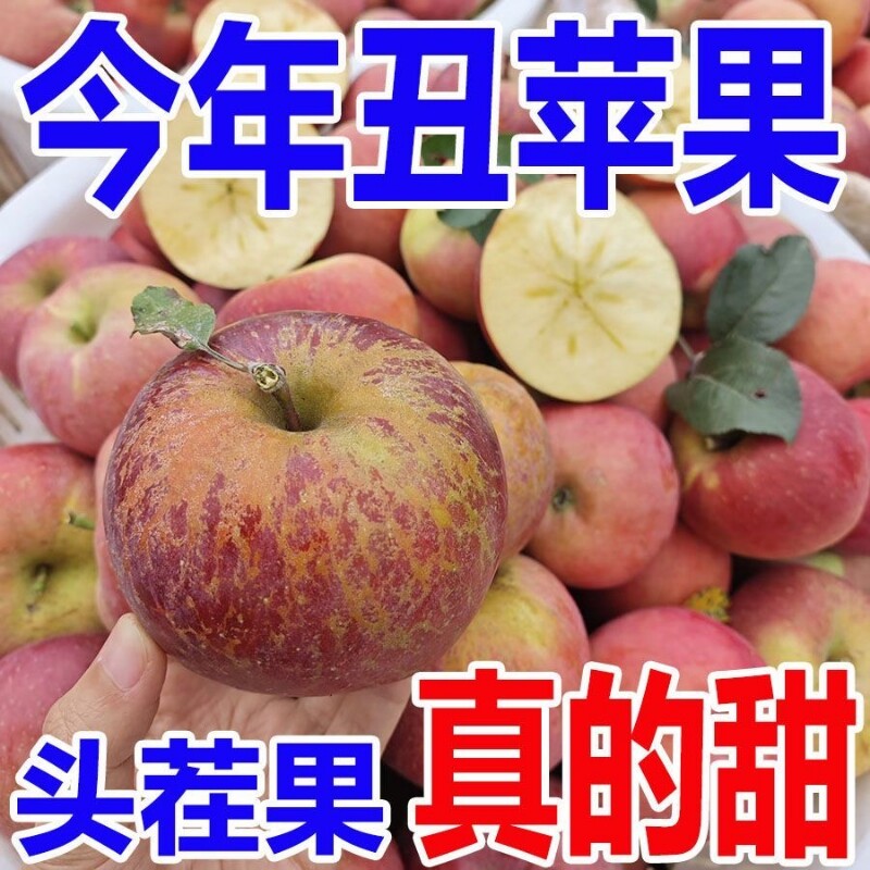 正宗山西丑苹果高原脆甜冰糖心红富士苹果一整箱包邮好吃现摘多汁