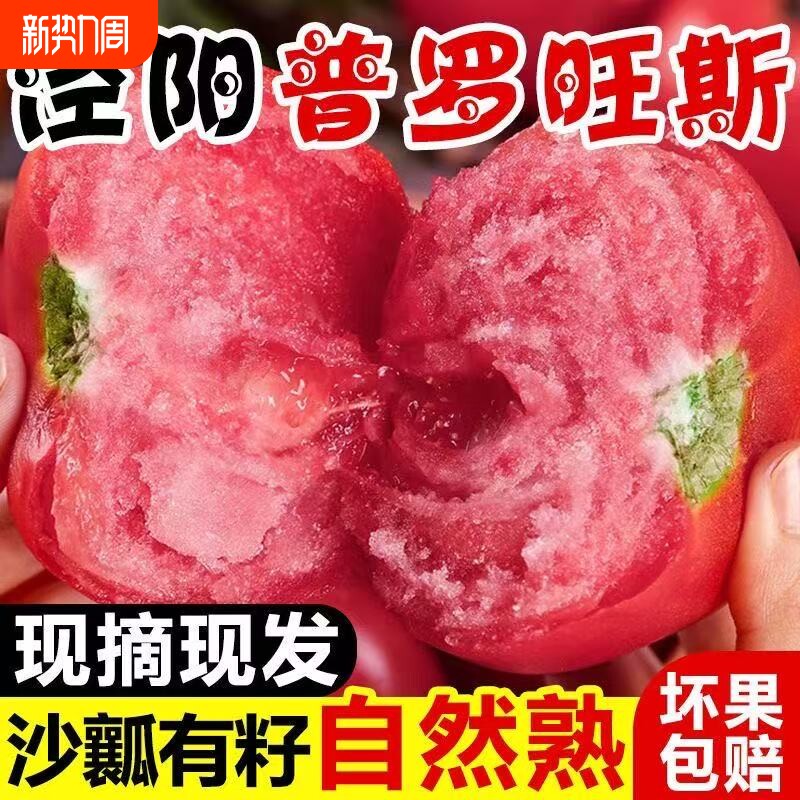 正宗陕西泾阳自然熟普罗旺斯番茄孕妇水果生吃沙瓤西红柿新鲜蔬菜