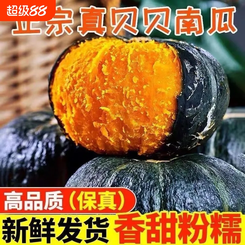 正宗贝贝南瓜板栗味婴儿辅食老南瓜粉蔬菜新鲜早餐产地食用香甜