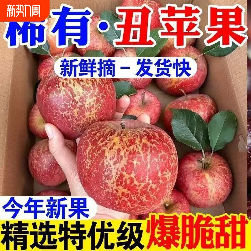 【包脆甜】冰糖心丑苹果山西运城正宗新鲜水果当季红富士脆甜批发