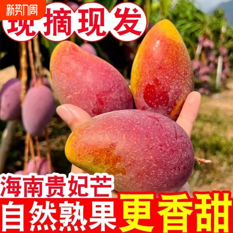 正宗贵妃芒大贵妃热带水果整箱9斤大果现货现发红金龙甜心芒芒果