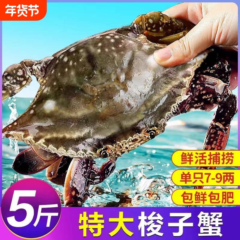 梭大蟹特冻螃蟹鲜新鲜冷海蟹水产飞蟹冷冻批发肉肥梭子蟹鲜活冻蟹,水产肉类/新鲜蔬果/熟食,梭子蟹,淘宝优惠券,粉丝福利购,淘宝优惠卷