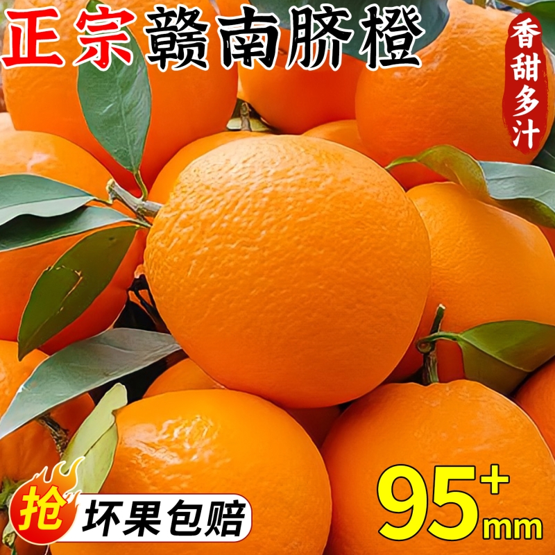 正宗赣南脐橙新鲜橙子当季水果冰糖甜橙整箱包邮次日精品现摘果园