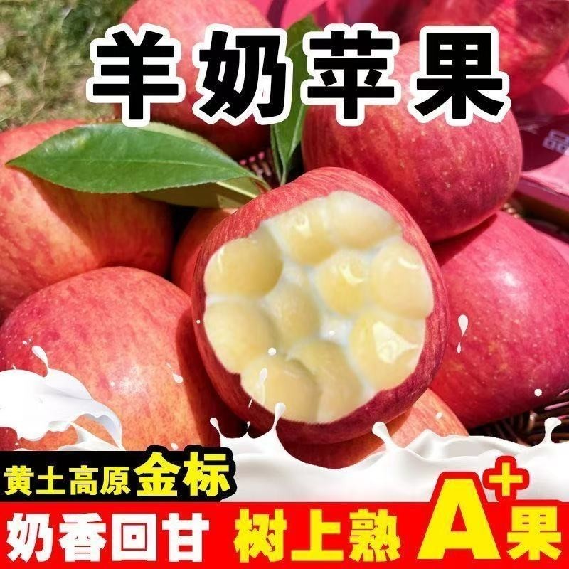 脆甜正宗红富士苹果山西新鲜红富士万荣应季孕妇水果冰糖整箱批发